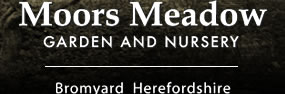 Moors Meadow Garden and Nursery