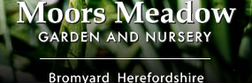 Moors Meadow Garden and Nursery