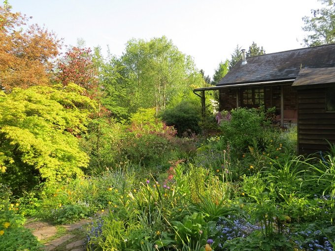 Gallery Moors Meadow Open Gardens and Nursery Bromyard Herefordshire
