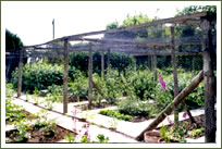 Fruit cage