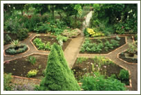 Herb Garden