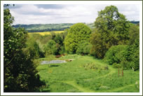 Oak circle