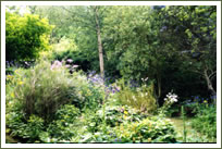 Shrubberies